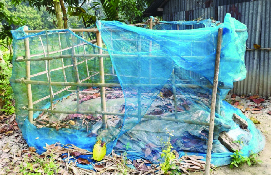 Image of শহিদুল খান